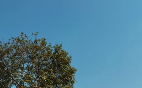 ����l���f�f