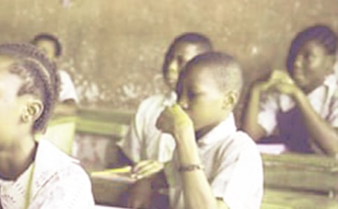 �ЌW�������b��500�֣���ƪ��