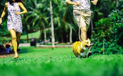 精短的周末祝福短信