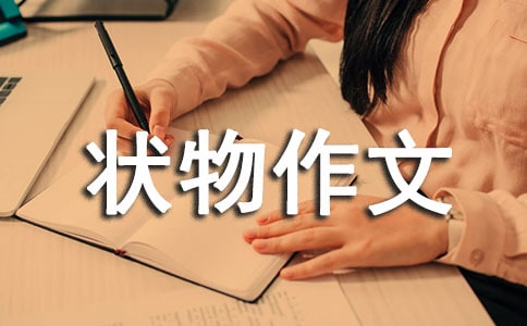 �����A����������300�օR��7ƪ