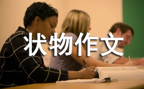 小學狀物作文