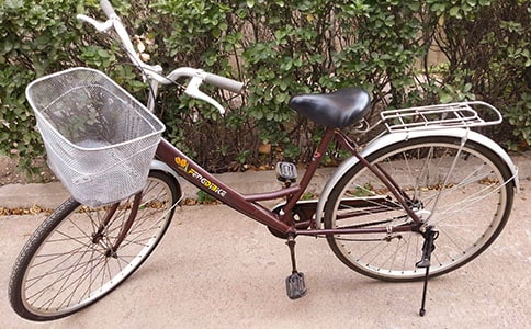 學騎自行車作文