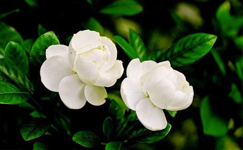 ���������ġ���ȫ5ƪ��