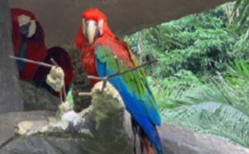 ���~�����W�^��B���� ���~�����W�^�ăr��