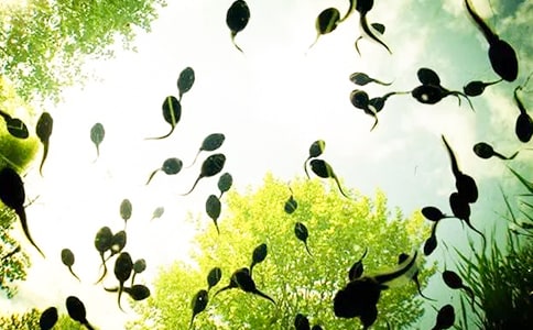 ���x�������600��ʮƪ