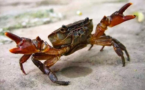 ���з����15ƪ����(sh��)�á�