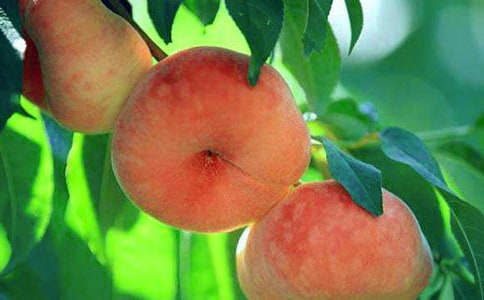 ��(j��ng)����f���£���ҕ�