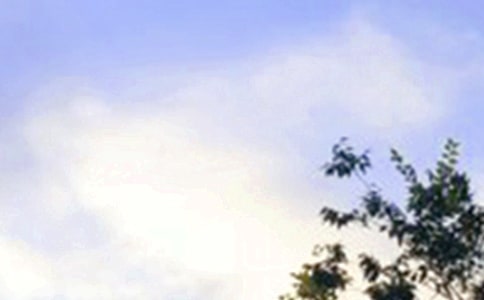 經典暖心早安說說大全(通用155句)