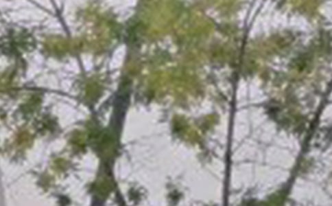 有關(guān)暖心早安說(shuō)說(shuō)匯總(通用200句)