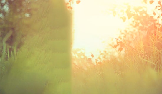 �����A��2026�꺆��Ψ�����Ӻϼ�86�l