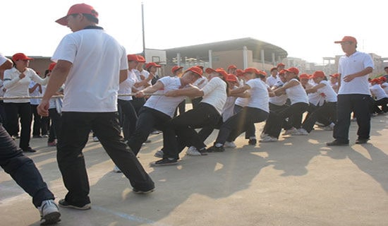 拔河比賽作文(優秀)