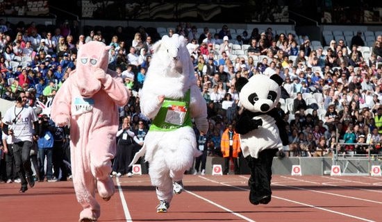 【精品】有趣的運動會作文匯編6篇