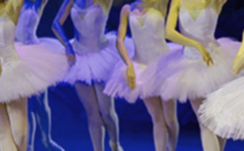 芭蕾舞作文(精選18篇)