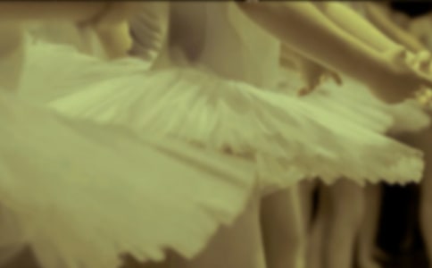 我愛芭蕾舞作文800字(精選22篇)