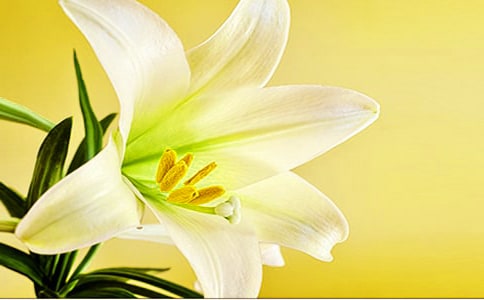 �P(gu��n)�ڰٺϻ���Ψ������