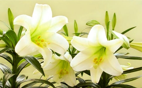 �ٺϻ��_����600�֣�ͨ��36ƪ��