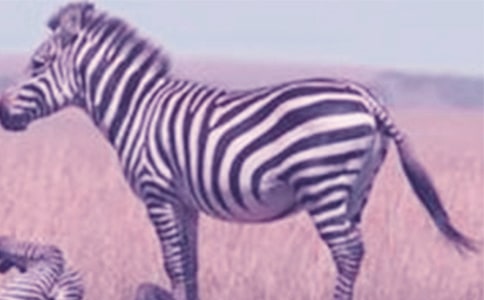 ���R�~���Lˮ�W����-���R�~��Ʒ�N��B