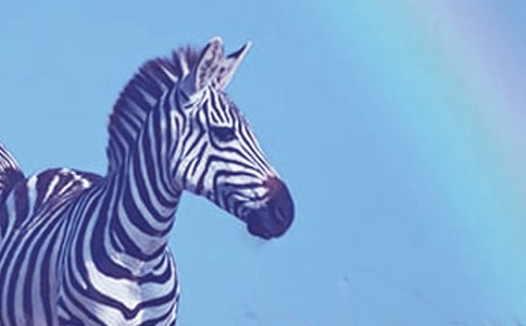 ���R���Y׌��������