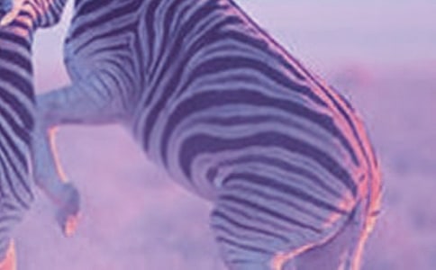 ���R�Ĺ���