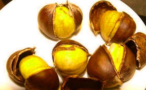 板栗的作文(精選28篇)