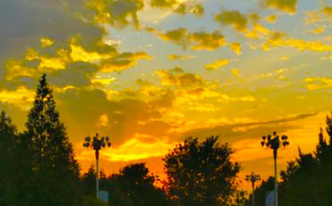 傍晚的云作文匯總(10篇)