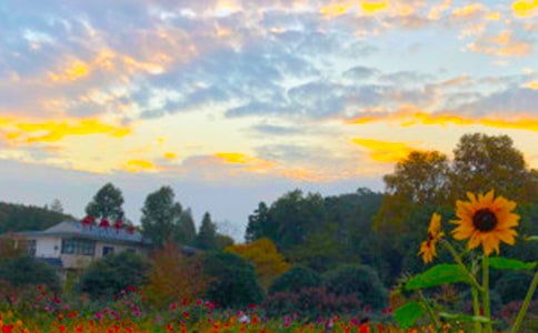 С�^(q��)�İ�������