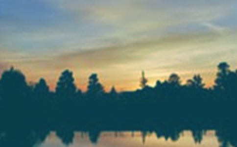 傍晚的作文實用15篇