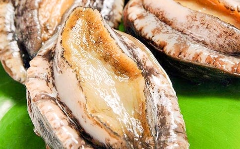 鮑魚的功效作用及做法