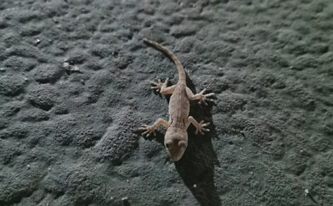 ���ڻ������ģ����x51ƪ��