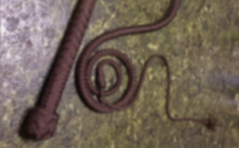 ���ӵĹ���