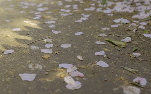 下冰雹作文3篇(精選)