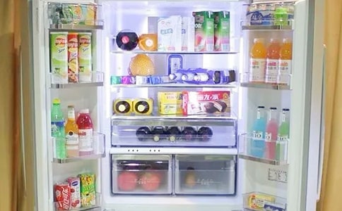 野貓買了大冰箱