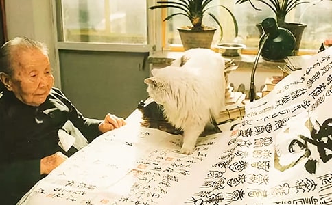 ����Մ�����x���|Մ�����x���