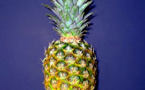 鹽水泡過的菠蘿為什么更好吃作文