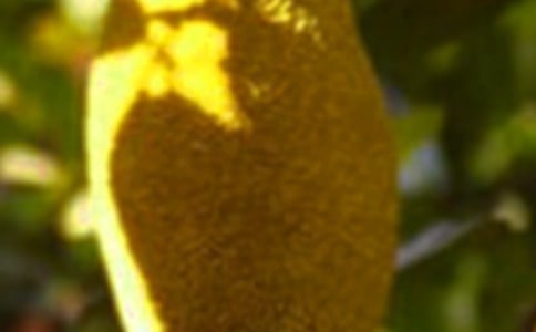 ���п��ԳԲ��}�۸Ɇ������г�ʲô���^��