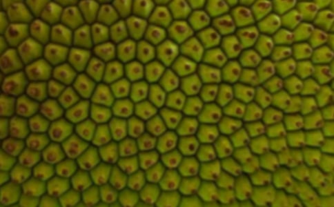 ���}�����Ľ���[15ƪ]