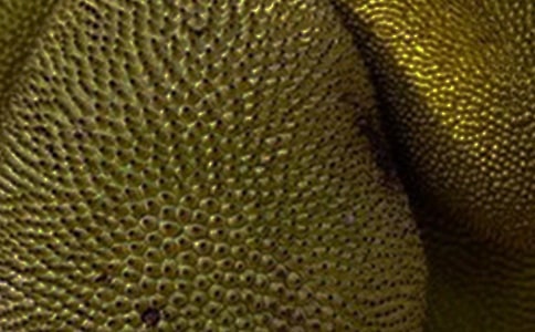 ���}������15ƪ�����x��