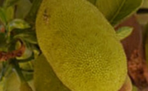 ���}�۵Ĺ�Ч�c����