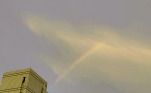 �ʺ�����Č���(15ƪ)