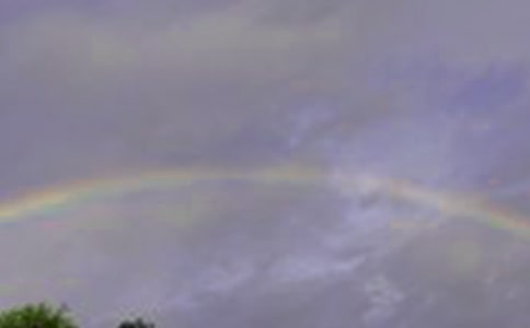 �ʺ���ɫ����