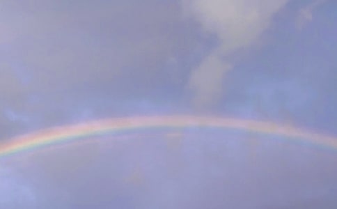 (���])�ʺ������