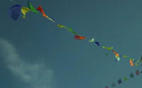 彩旗飄飄美術教案范文通用