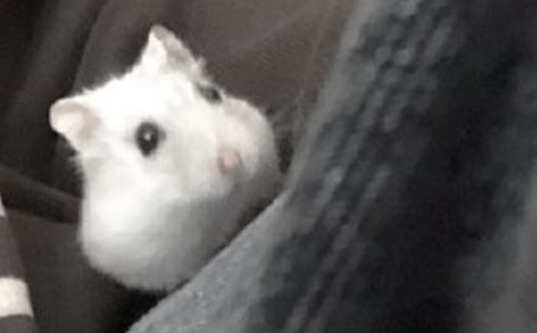 �ɐ۵Ă}������[���x]