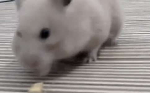 �}��Խ�z������[��(j��ng)��]