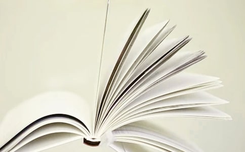 ��Wӭ������߄�����