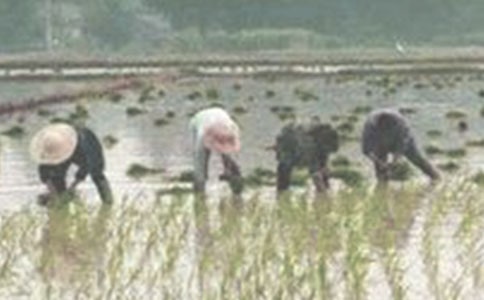 ���������Č���[9ƪ]