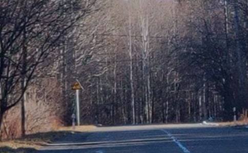 (經典)游長白山作文