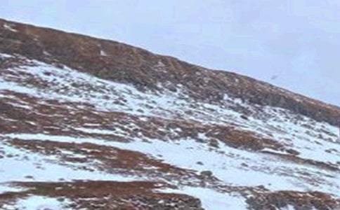 長白山游記必備15篇