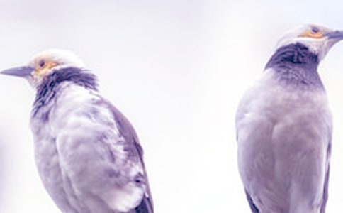 夫妻吵架后心情低落的說說文案