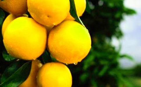 ���Ӻ˵Ĺ�Ч�c����